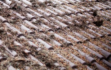 Slade Green roof cleaning companies